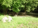 SoLa_2013-018