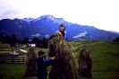 sola_igls_33