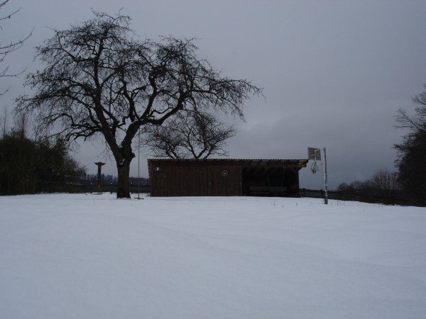 Winter_Pfadiwiese001